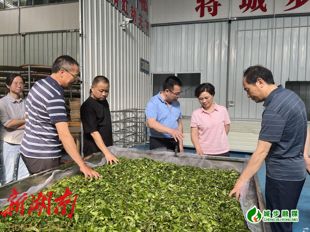 市人大常委会到城步调研壮大农业优势特色产业全面推进乡村振兴工作_邵阳头条网